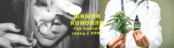 стафф Вяземский