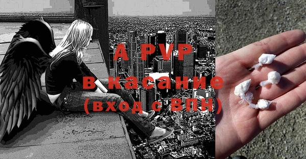 стафф Вяземский