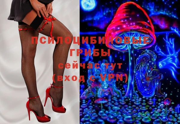 стафф Вяземский