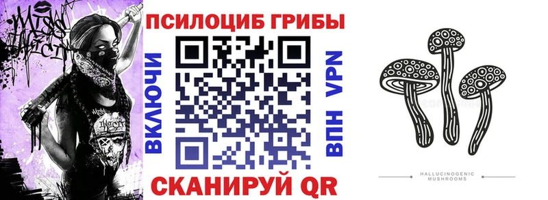 MEGA онион  Цоци-Юрт  сайты даркнета какой сайт  Галлюциногенные грибы мицелий 