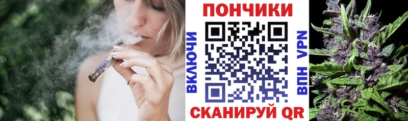 Бошки Шишки сатива Цоци-Юрт
